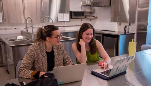 Two Simmons students working at a counter in the Nutrition lab.