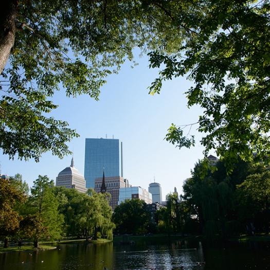 The city of Boston through the trees