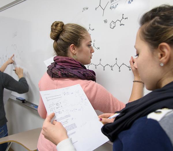 Students writing on a whiteboard