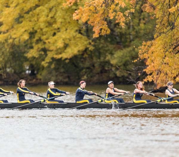 Students rowing crew on the Charles River