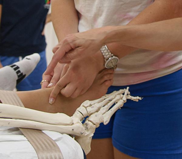 Physical Therapy student working on leg with skeleton leg to compare