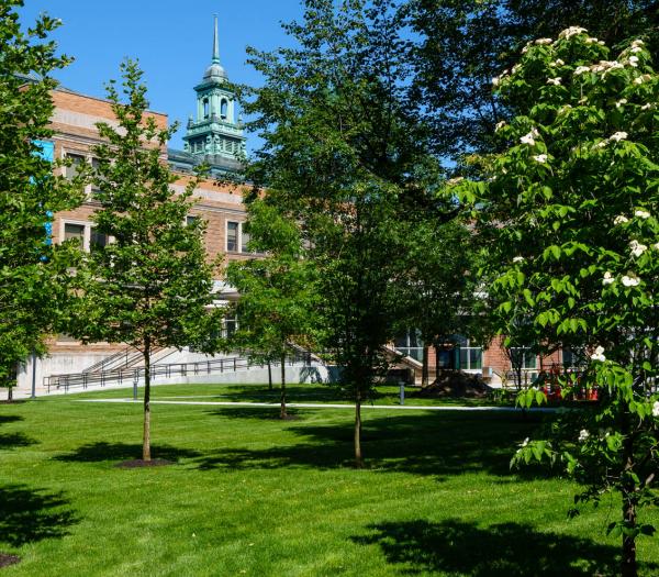 Bright Sunny Campus shot of grass with the MCB in the background