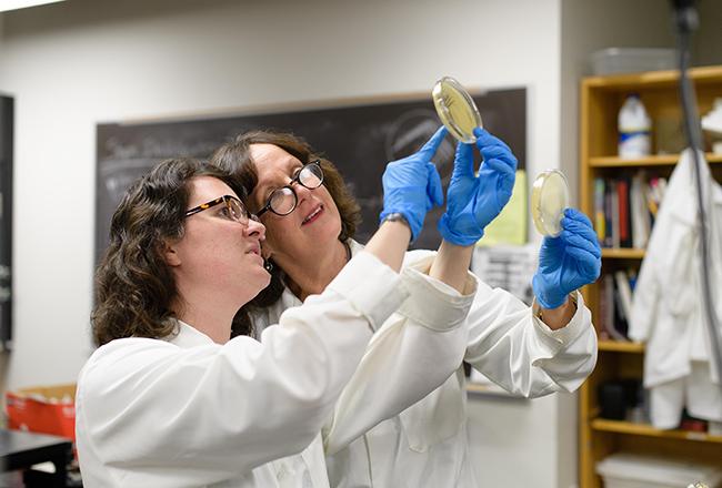 Student and faculty member working in a scientific lab