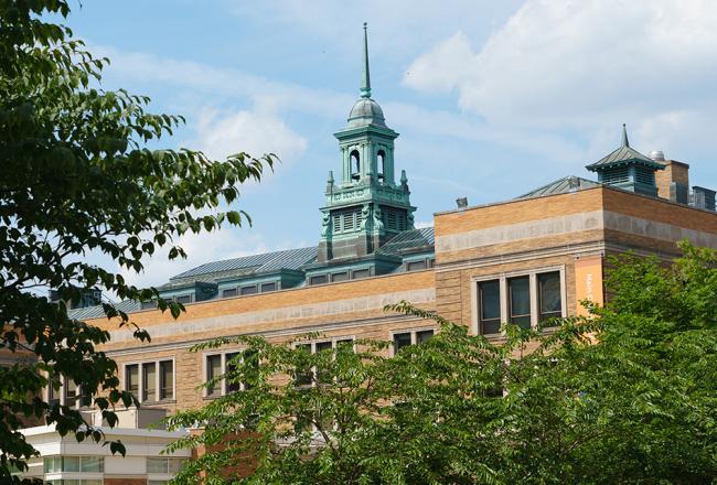 View of the cupola from the quad through trees