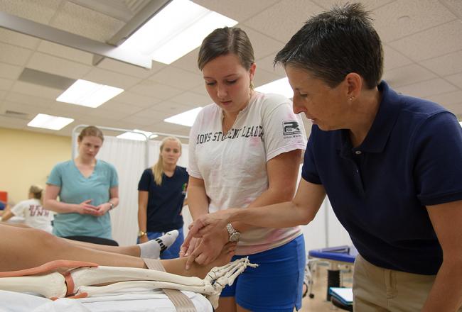 An overview of the Doctor of Physical Therapy program at Simmons University.
