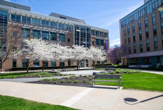 The Simmons University campus quad in spring with trees in bloom. Photo credit: Ashley Purvis.