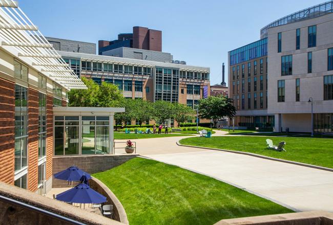 Photo of main campus quad on a bright sunny day. the view is looking from the Fens towards Drinan Hall and Palace Road