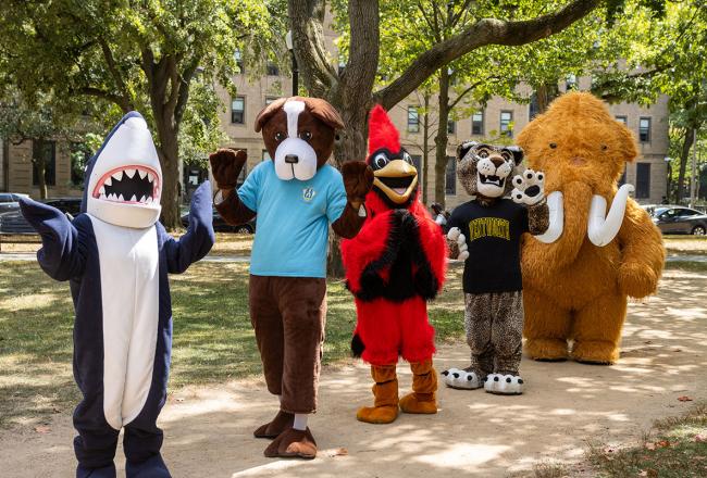 Mascots from the Colleges of the Fenway