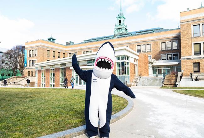 Stormy, the Simmons mascot, on the Simmons University campus