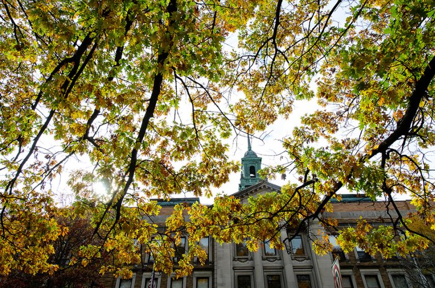 The front of the Main College Building with a tree with yellow leaves.