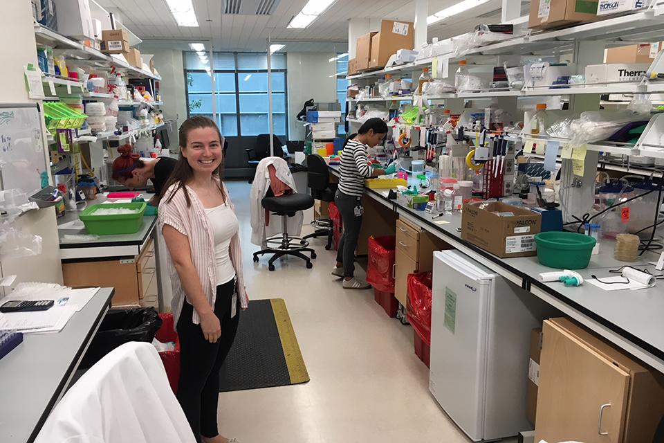 Students working in lab