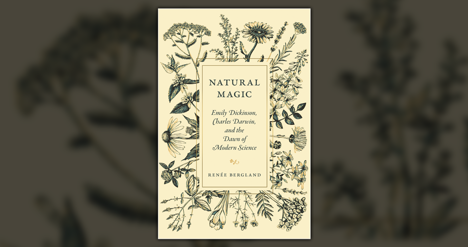 Cover of Natural Magic - a book by Professor Renée Bergland