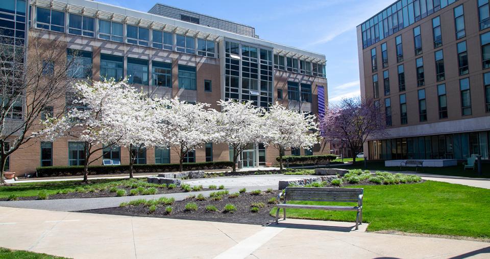 The Simmons University campus quad in spring with trees in bloom. Photo credit: Ashley Purvis.