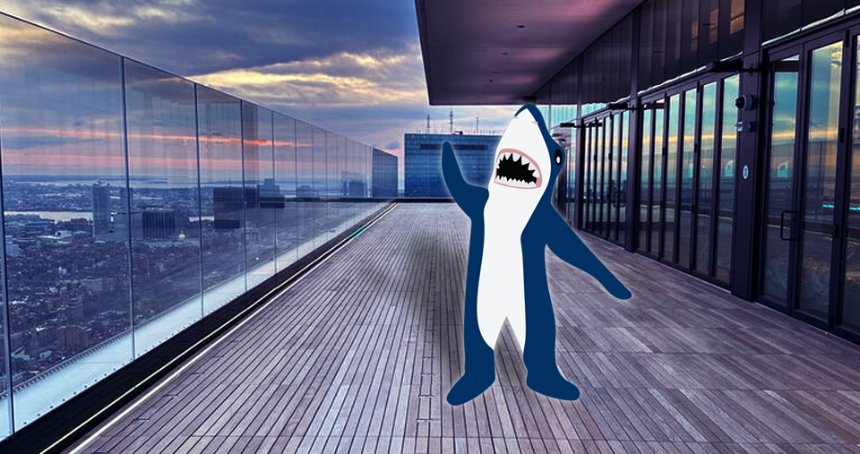 Stormy enjoying view  at the Prudential Tower