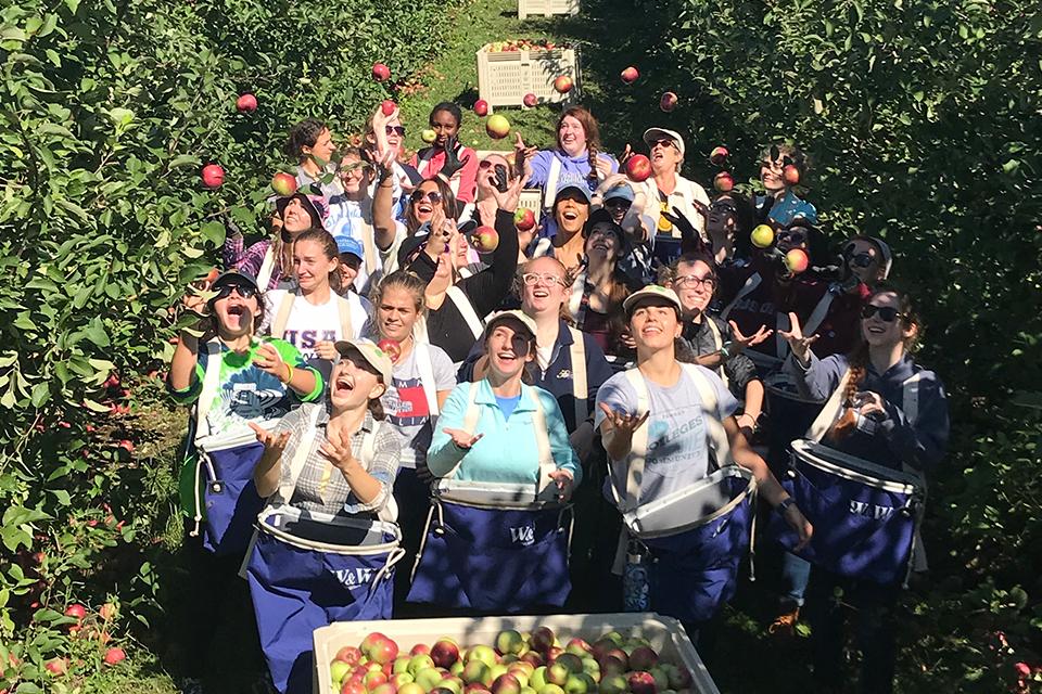 Volunteers throw apples into the air in the orchard.
