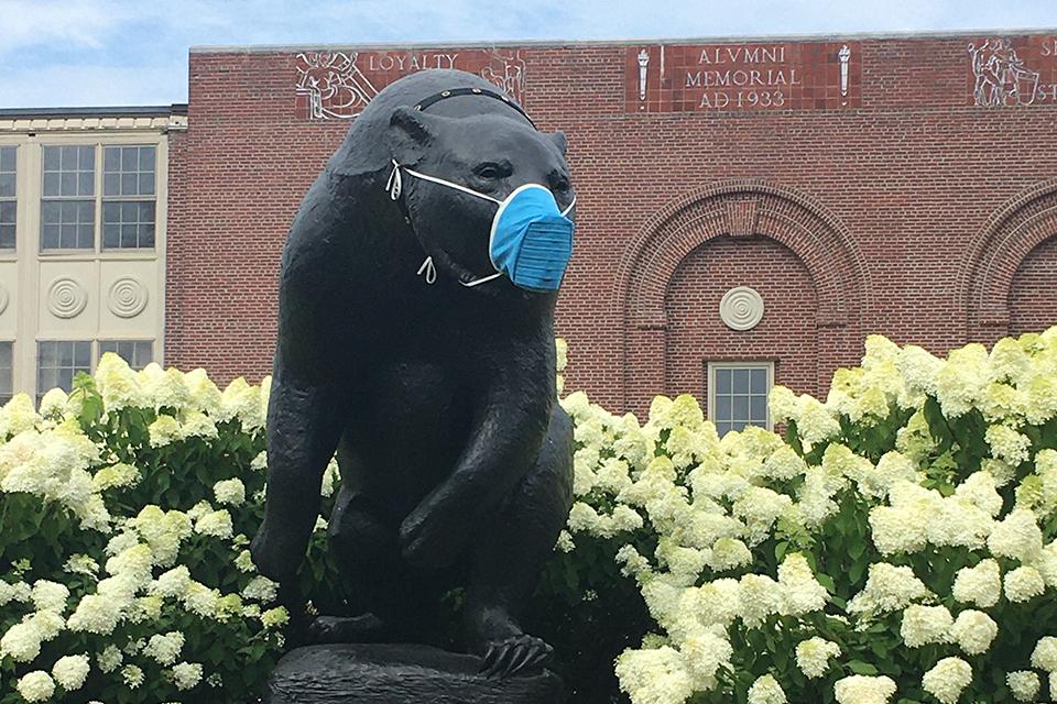 Bear statue wearing face mask. Photo courtesy of Fogler Library Special Collections & Archives.